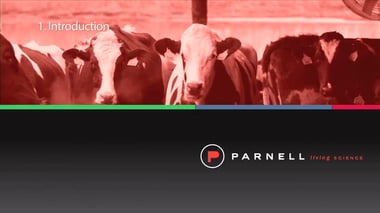 Cow Fertility Training Course