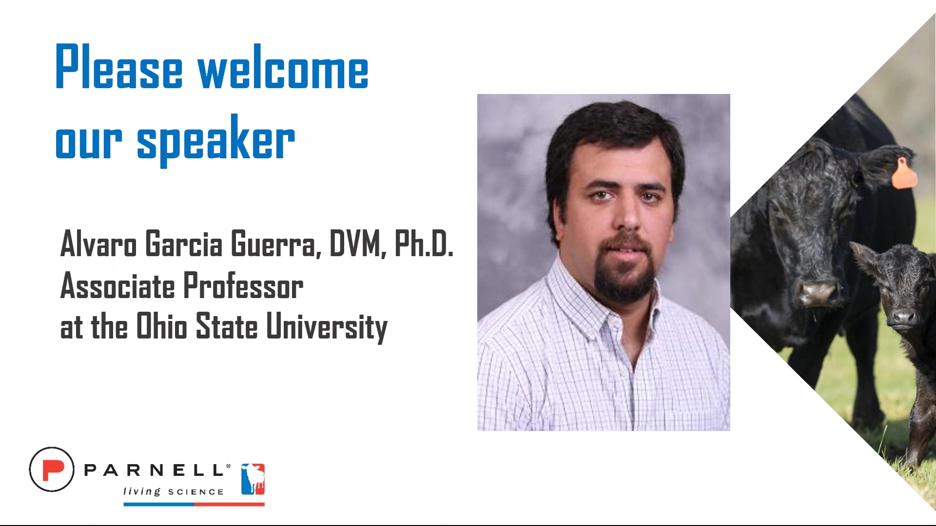 Fixed Timed Artificial Insemination for Beef Cattle Webinar