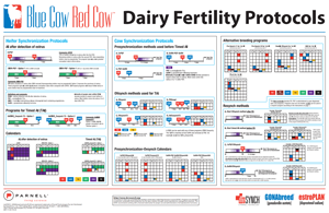 Blue Cow Red Cow Dairy Fertility Protocols